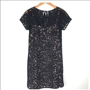 Loft Black Lace Cream Underlay Dress